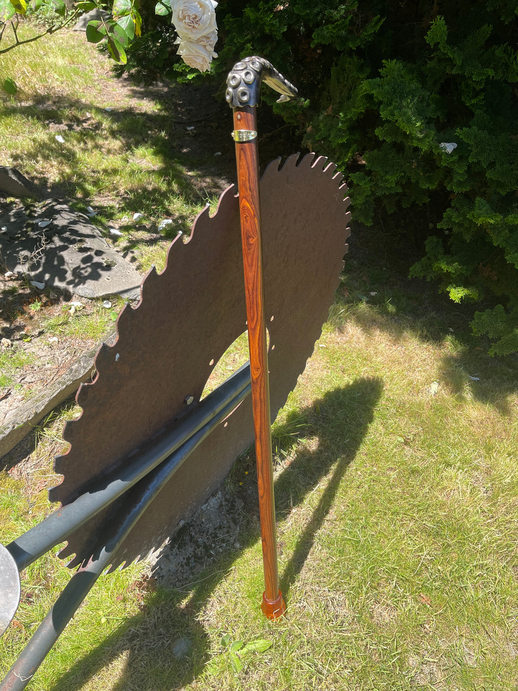 Octopus Canes